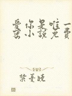 爱你是唯一的秘密小说免费阅读