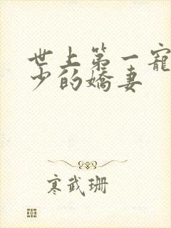 世上第一宠婚慕少的娇妻