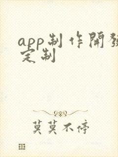 app制作开发定制