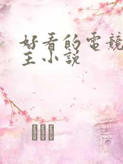 好看的电竞双男主小说