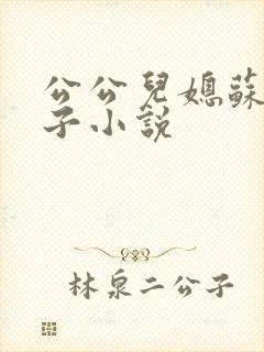 公公儿媳苏玥夫子小说