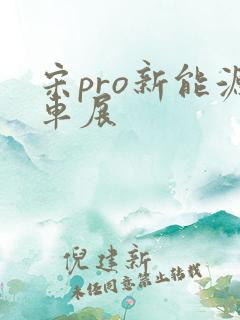 宋pro新能源车展
