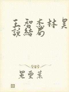 王智杰林昊f小说结局