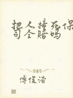 把人撞死保险公司全赔吗