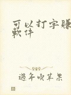 可以打字赚钱的软件