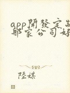 app开发定制那家公司好