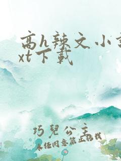 高h辣文小说txt下载
