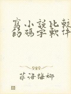写小说比较好用的码字软件