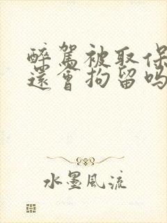 醉驾被取保候审还会拘留吗 醉驾被取保候审还会拘留吗