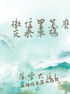 微信里怎么用公交乘车码