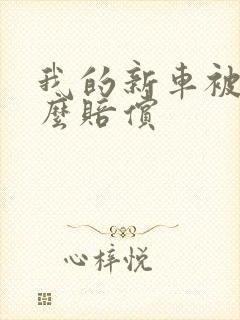 我的新车被撞怎么赔偿
