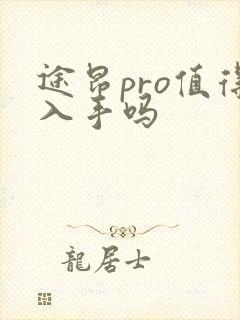 途昂pro值得入手吗