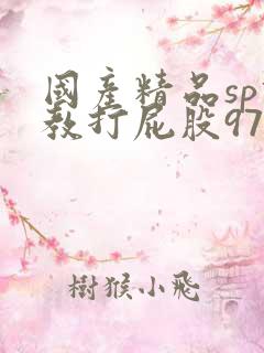 国产精品sp调教打屁股97