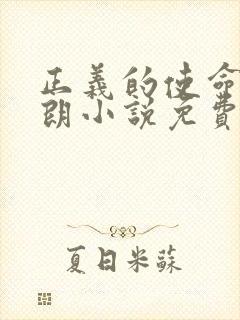 正义的使命厉元朗小说免费完本