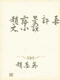 赵露晨许长生全文小说
