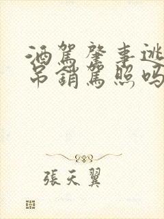 酒驾肇事逃逸会吊销驾照吗