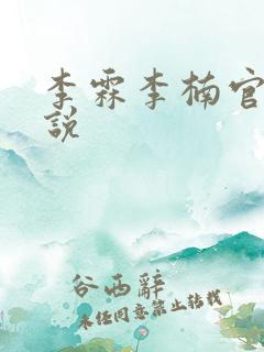 李霖李楠官场小说