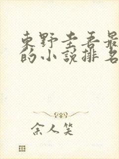 东野圭吾最好看的小说排名
