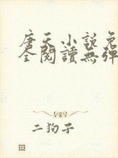 唐天小说免费大全阅读无弹窗
