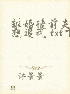 离婚后前夫总是想追我 txt下载