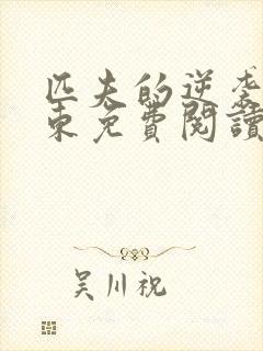 匹夫的逆袭刘汉东免费阅读完整版 匹夫的逆袭刘汉东免费阅读完整版