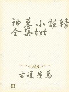 神墓小说精校版全集txt