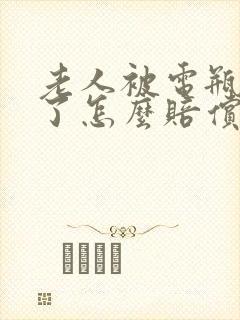 老人被电瓶车撞了怎么赔偿