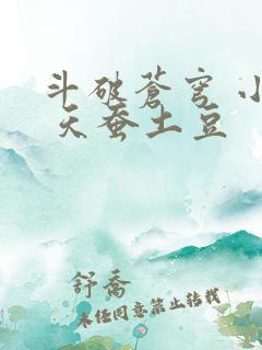 斗破苍穹 小说 天蚕土豆