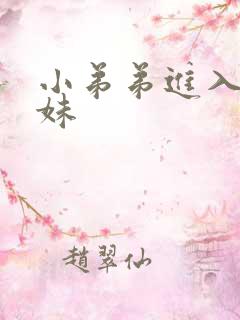 小弟弟进入小妹妹