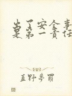 出了安全事故谁是第一责任人
