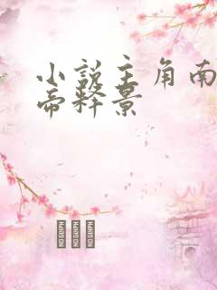 小说主角南知意帝释景