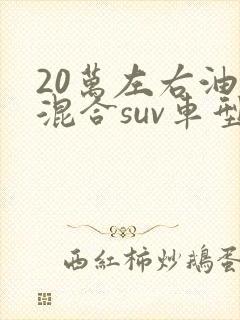 20万左右油电混合suv车型推荐