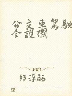 公交车驾驶员安全护栏 公交车驾驶员安全护栏