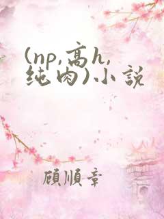 (np,高h,纯肉)小说 (np,高h,纯肉)小说