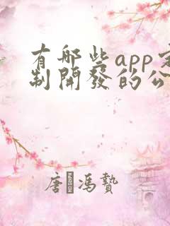 有哪些app定制开发的公司
