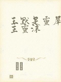 王默是灵犀阁公主灵沫