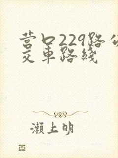 营口229路公交车路线