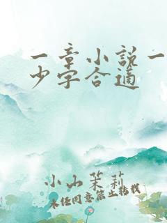 一章小说一般多少字合适