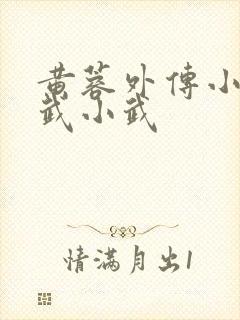 黄蓉外传小之大武小武