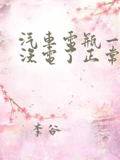 汽车电瓶一年就没电了正常吗