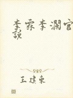 李霖李澜官场小说
