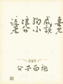 流浪狗成妻子的老公小说免费阅读