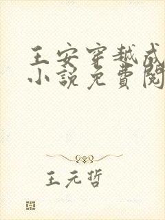 王安穿越成太子小说免费阅读