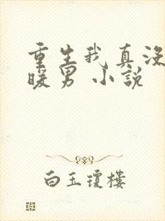 重生我真没想当暖男 小说