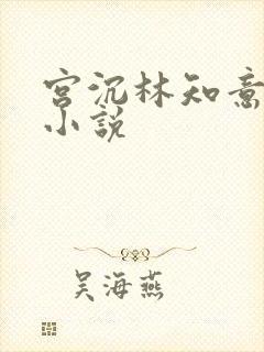 宫沉林知意正版小说