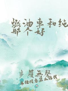 燃油车和纯电车哪个好