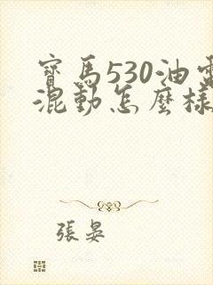 宝马530油电混动怎么样
