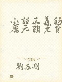 小说正义的使命厉元朗免费全文阅读一