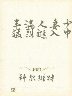 丰满人妻少妇被猛烈进入中文字幕