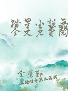 踏星小说无弹窗全文免费阅读 踏星小说无弹窗全文免费阅读